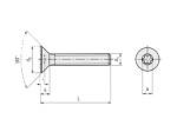 Torxschrauben mit Senkkopf M3x10mm